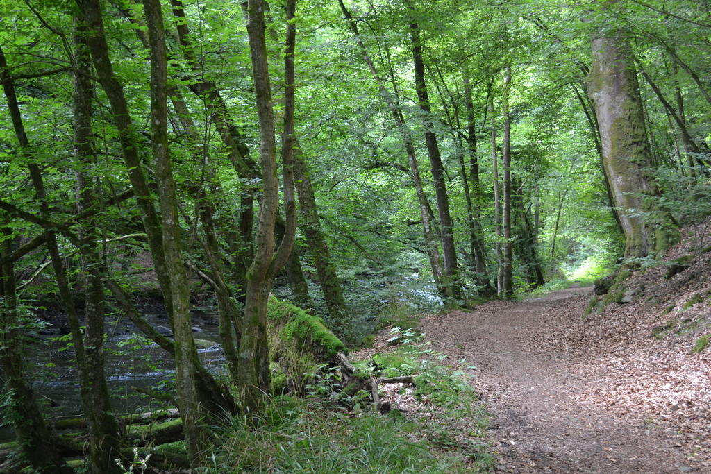 Gite La Clef Des Champs Libin Rom bilde